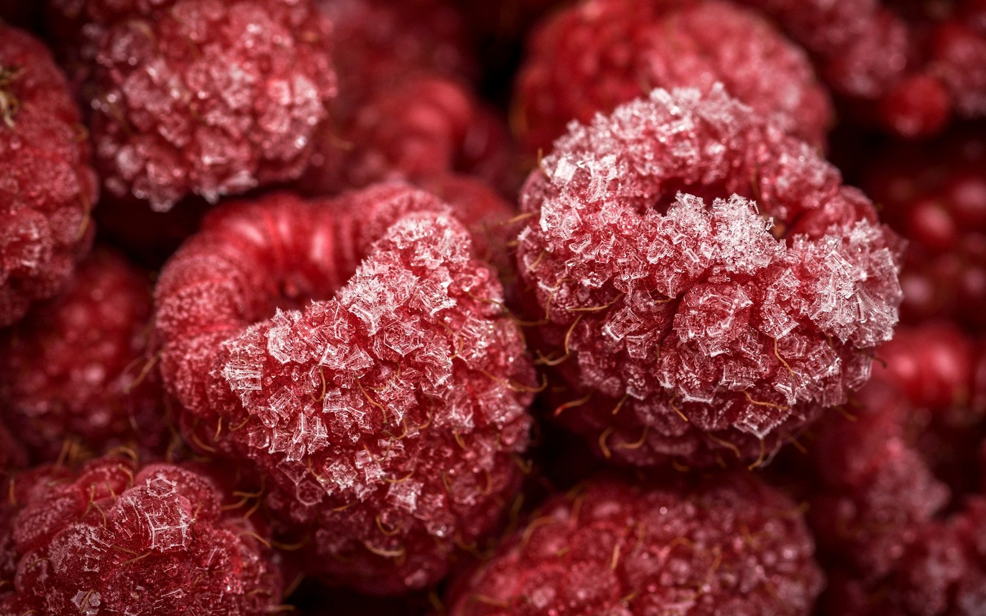 TK Himbeeren